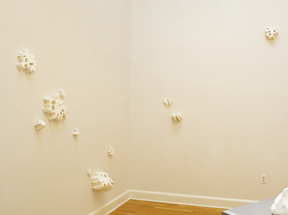 Sarah House 3, MFA 2012