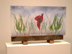 Rick Lineberger, Photo/Object 2007