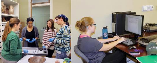 MARI Interns and Volunteers at work