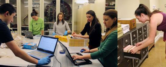 MARI Interns and Volunteers Taking Care of Business