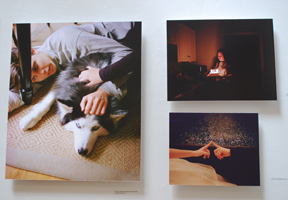 close-up view of photo installation with three images visible, including one with reclining person petting dog's head