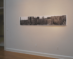 Meghan Kirkwood 6, Ecology Within the Frame, An Investigation of Two Landscapes