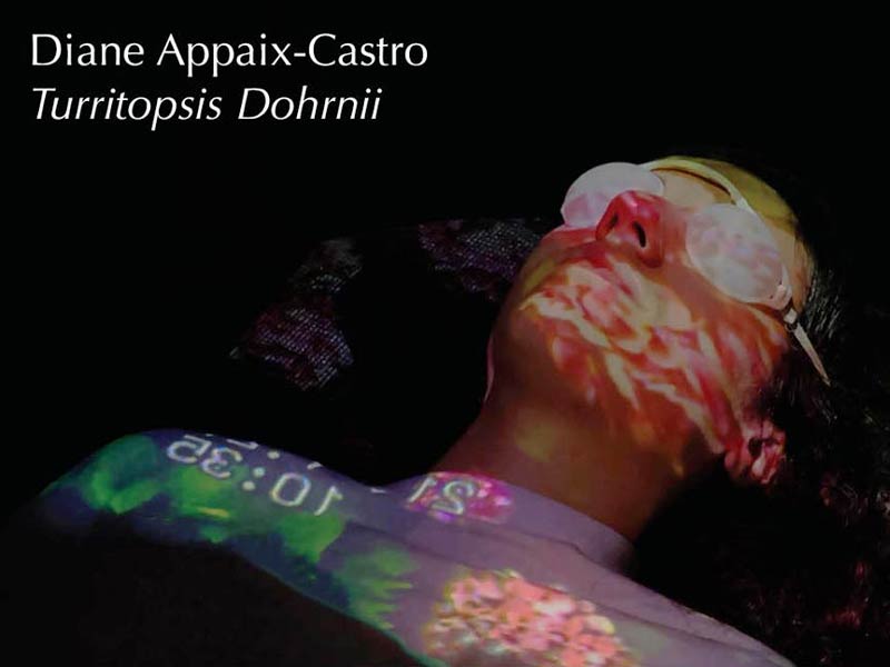 Diane Appaix-Castro, Turritopsis Dobrnii