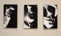Leanne Moyer 2, Bachelor of Fine Arts Exhibition 2008
