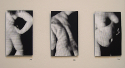 Leanne Moyer 3, Bachelor of Fine Arts Exhibition 2008