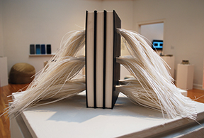 Chris Perry, Book Arts as Convergence