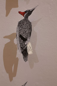 cut-out woodblock print of ivory-billed woodpecker