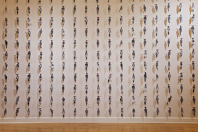 gallery wall with hundreds of cut-out ivory-billed woodpecker prints
