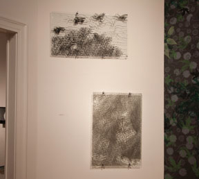 prints on transparencies with cast shadows on wall