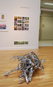 Alexandria Rahn, BA Exhibition 2013