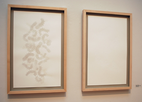 two pale white drawings, framed