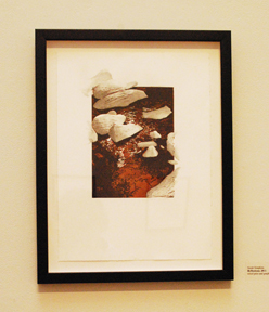 Sarah Simpkins 2, Bachelor of Fine Arts Exhibition 2012