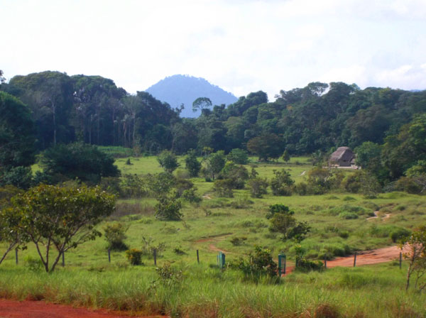 Rupununi savannah in Guyana, South America
