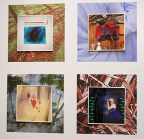 grid of four framed photos, each against contrasting patterned vinyl adhered to wall 