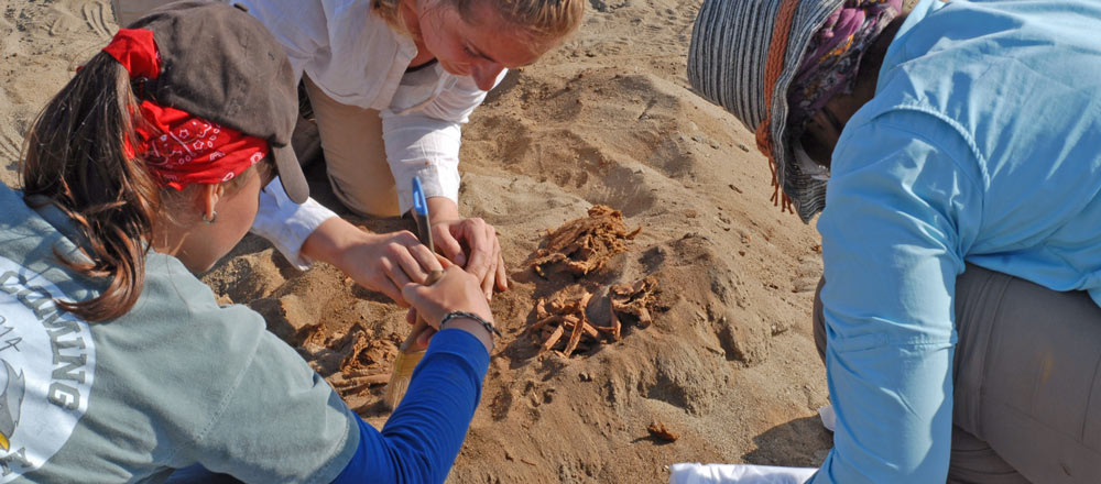 Students take part in an archaeological excavation