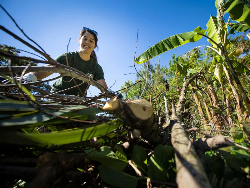 Tulane Volunteer at GrowDat Youth Farm