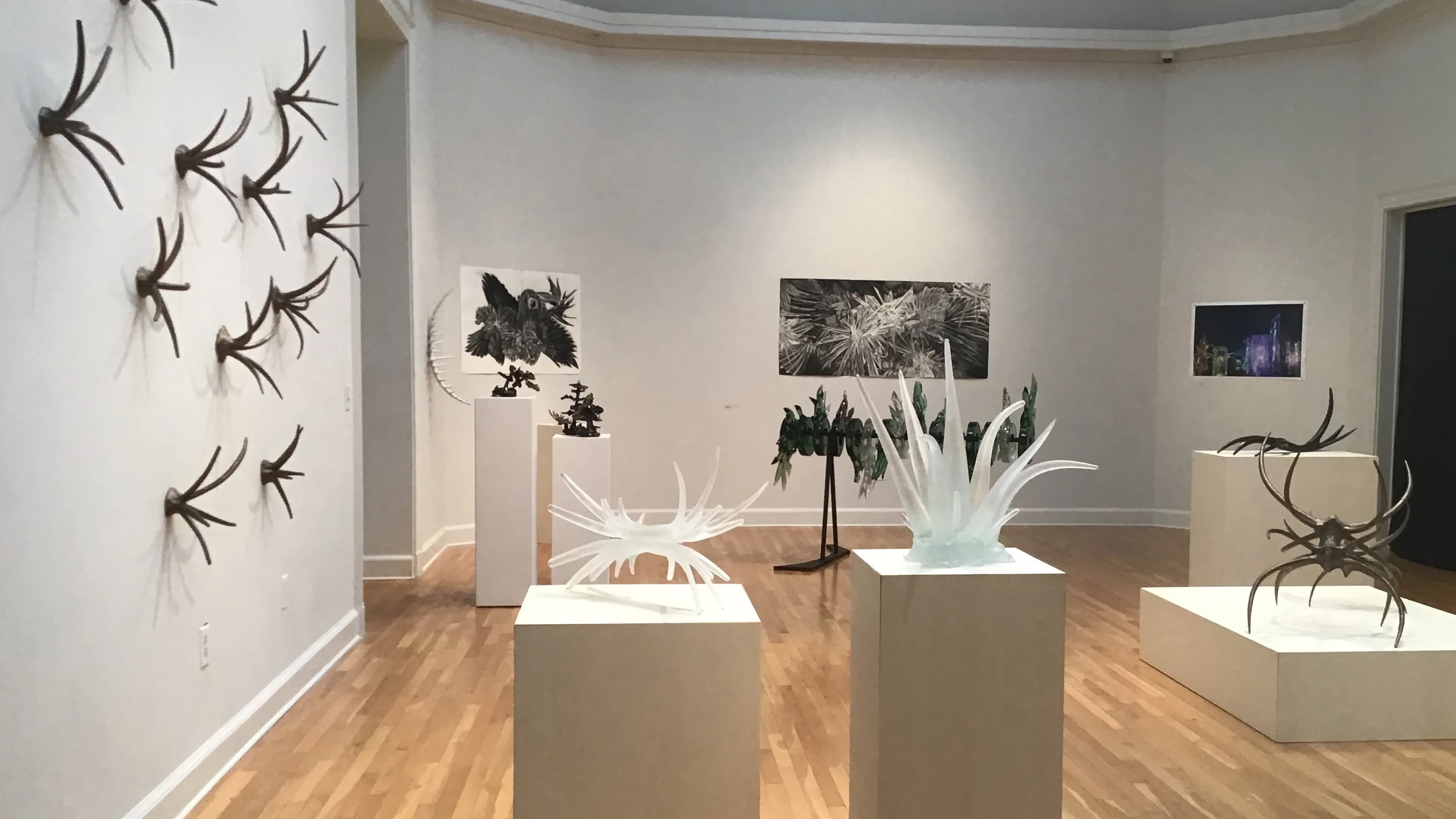 exhibition of sculpture and drawings by BFA students