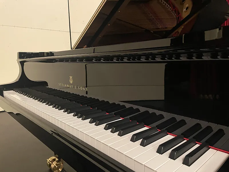 New Seinway piano