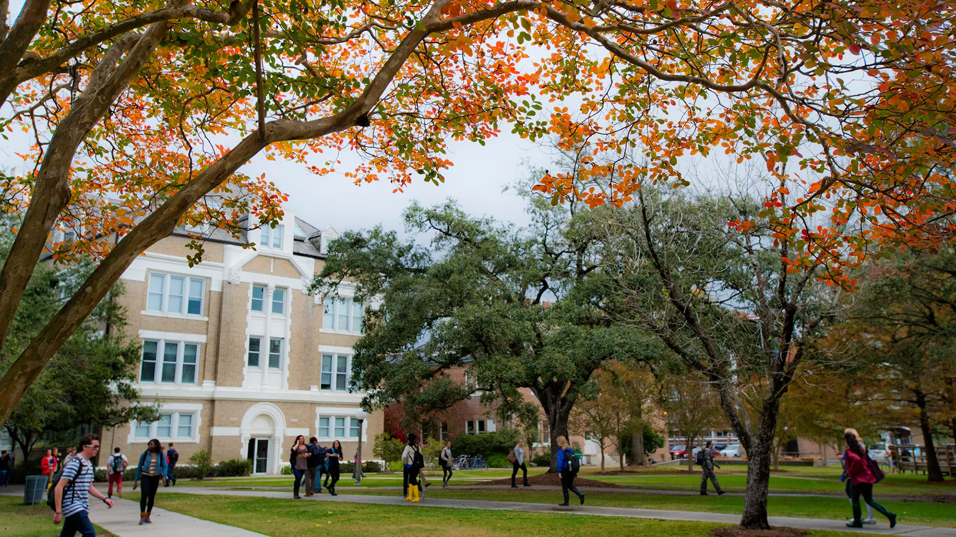 Photo: Paula Burch-Celentano. The foliage of a crepe myrtles frames an autumn scene on the Tulane up