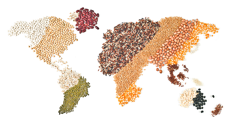 Seeds forming a map of the earth